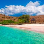 3. Komodo (Indonésie).