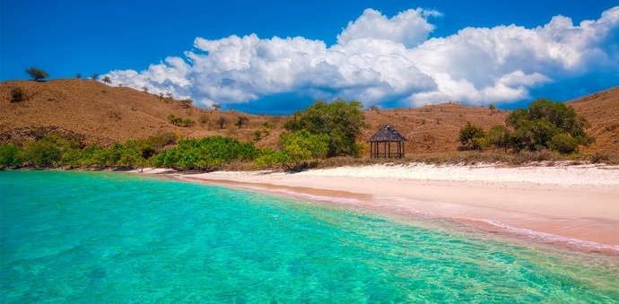 3. Komodo (Indonésie).