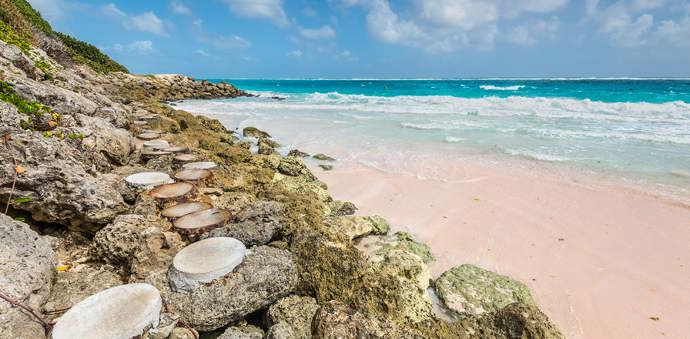 8. Crane Beach (Barbados).