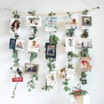 1. V liánách eukalyptu.