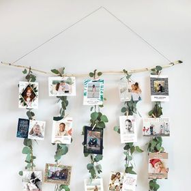 1. V liánách eukalyptu.