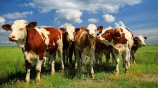 SOUTĚŽ o balíček plný bioproduktů!