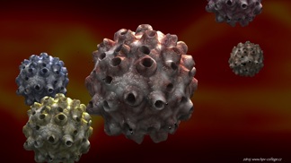 Popsáno je přes sto různých typů HPV virů.