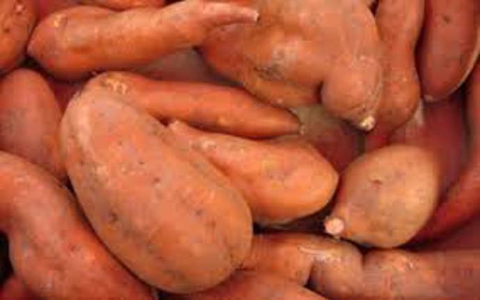 Vyměňte klasické brambory za sladké