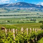 Morava není jen o víně, i když dobře se tam rozhodně popíjí.