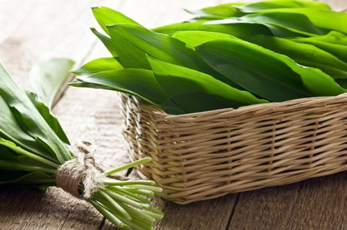 Medvědí česnek je nabitý vitaminy.