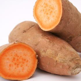 Sladké brambory neboli batáty jsou oblíbené na spoustu způsobů