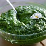 Pesto z medvědího česneku si zamilujete.