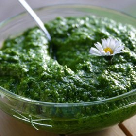 Pesto z medvědího česneku si zamilujete.