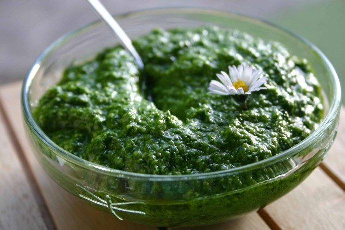 Pesto z medvědího česneku si zamilujete.