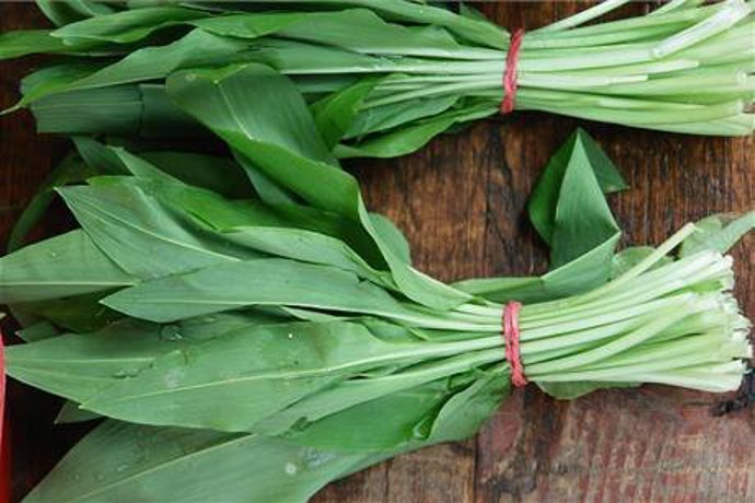 Nespleťte si medvědí česnek s konvalinkou.