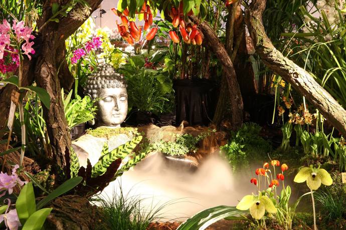 V pátek 29. března se mohou návštěvníci zdržet až do nočních hodin a vychutnat si speciální večerní atmosféru v rámci Noci orchidejí 