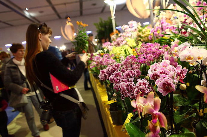 určitě vás potěší, že výstava orchidejí je prodejní