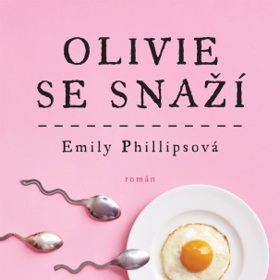 Knižní román o tom, co čekat, když nejste v očekávání