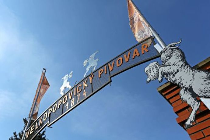 Každou půlhodinu se budou konat prohlídky pivovaru.