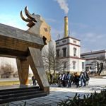 Ladovské vepřové hody se konají v Pivovaru Velké Popovice nedaleko Prahy.