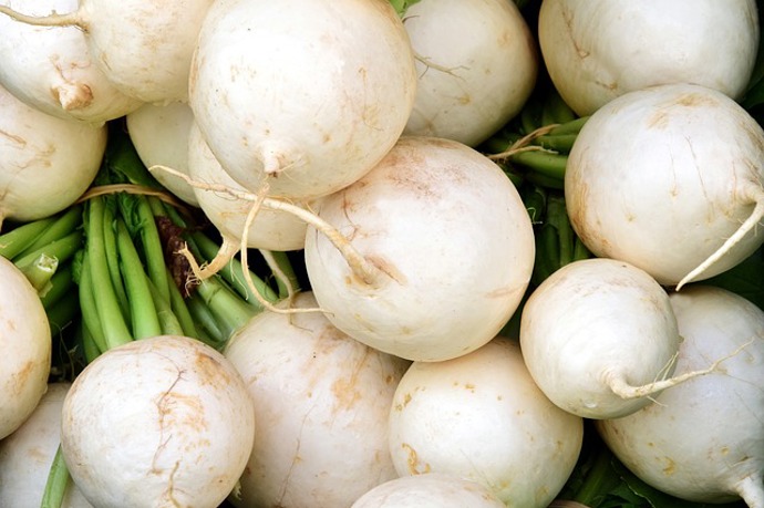 Existují i bílé ředkvičky, které nejsou tak štiplavé.