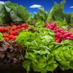 Nejjistějším způsobem, jak zhubnout a vyvarovat se jo-jo efektu, je stále zdravý jídelníček a pravidelný pohyb.