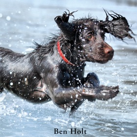 Zvířecí hrdinové