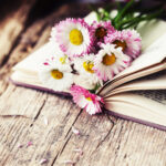 Jarní počasí úplně svádí k tomu přečíst si venku dobrou knihu