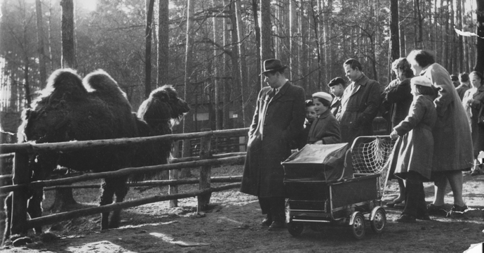 Zoo Děčín slaví v tomto roce 70. narozeniny a hledá pamětníky! 