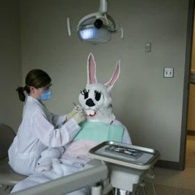 Proč by si velikonoční zajíc nemohl zajít k zubaři.