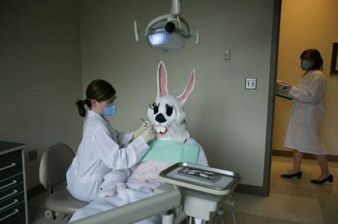 Proč by si velikonoční zajíc nemohl zajít k zubaři.