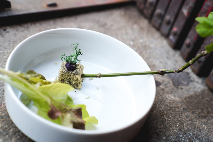 Jako amuse bouche  dostanete sýr, dýni a mladý salát - tím nastartujete chuťové buňky.