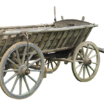 KOLO U VOZU (22. 6. – 22. 7.): Kolo u vozu je navenek drsné a nepřístupné, uvnitř ale citlivé a něžné. Nedá za žádných okolností dopustit na svou rodinu. Lidem moc nedůvěřuje, má strach z opovržení, ponížení a nejisté budoucnosti. Když se zamiluje, dokáže vytvořit pro své milované ideální rodinné zázemí.