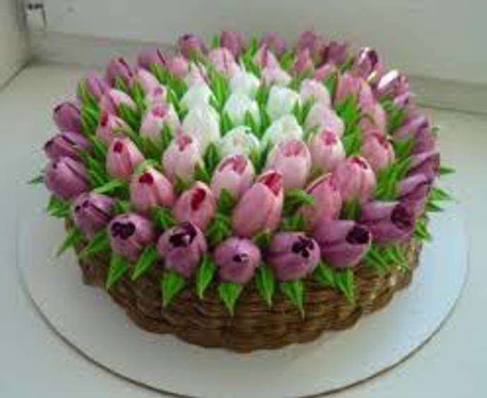 Tulipány jsou nádherné květiny plné vůně