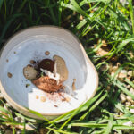 Dokonalé vege menu nabízí restaurace Benjamin.