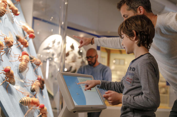 Poznejte velkolepý Mnichov s jeho kulturou, technikou i volnočasovými aktivitami