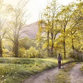 Zajděte si po vydatném obědě na svižnou procházku. Rozpohybujete tím trávení a tolik se vám toho neuloží. Kromě toho si užijete krásné jarní počasí a pokocháte se přírodou. 