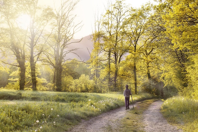 Zajděte si po vydatném obědě na svižnou procházku. Rozpohybujete tím trávení a tolik se vám toho neuloží. Kromě toho si užijete krásné jarní počasí a pokocháte se přírodou. 