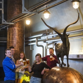 Užijte si prohlídku Pivovaru Velké Popovice.