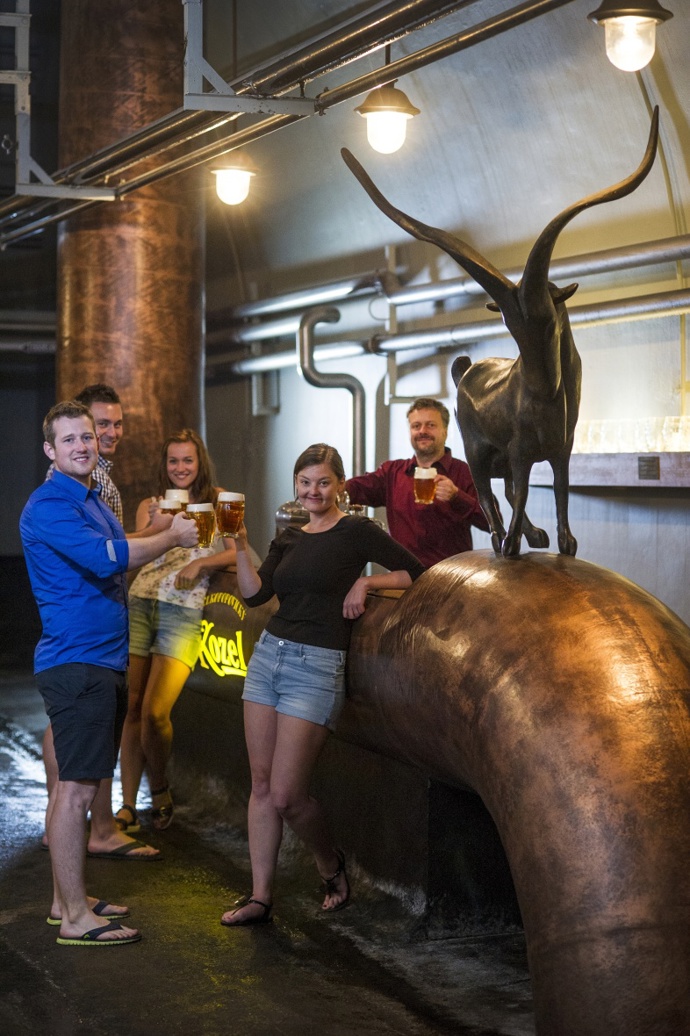 Užijte si prohlídku Pivovaru Velké Popovice.