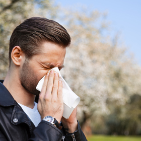 Alergie trápí třetinu Čechů