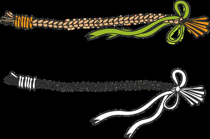 Už máte připravenou pomlázku?