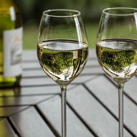 Vinná dieta z vás může udělat alkoholiky.