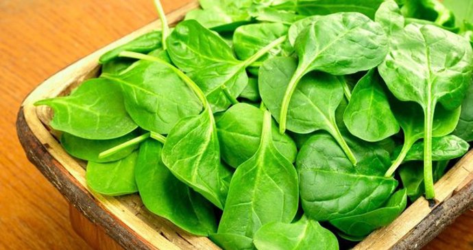 Špenát obsahuje více než 90 % vody, jeho energetická hodnota je tedy (jako u většiny druhů zeleniny) velice nízká. Ve špenátu se nacházejí bílkoviny, lipidy, sacharidy, nerozpustná i rozpustná vláknina.