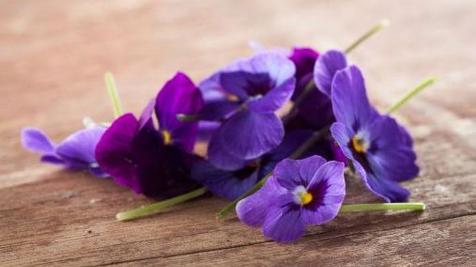 Fialka má sladkou a výraznou chuť. Dobře vypadají zamrazené v ledových kostkách nebo se hodí ke zmrzlině, salátům či dezertům. Mohou se používat i kandované. 