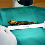 Kostra měřila pouhých 16 centimetrů.