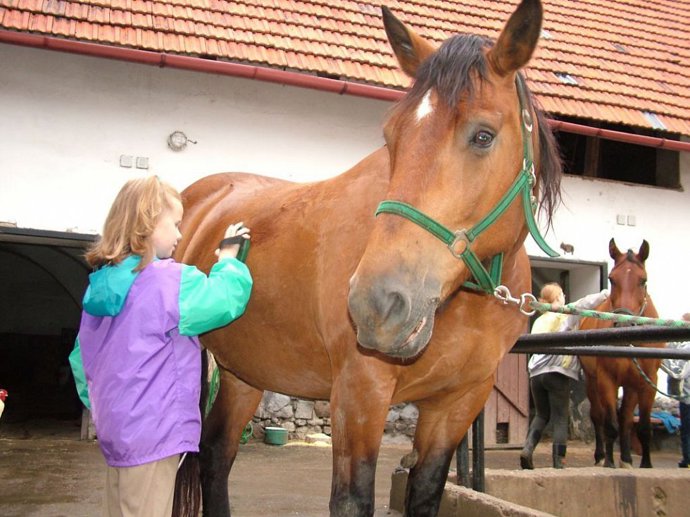 Místo sezení u televize najděte dětem zajímavé koníčky