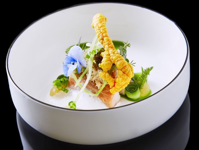 Pstruh /šafrán /černý česnek/ tomaten air /orlíček