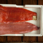 Divoký losos je sytě červený.