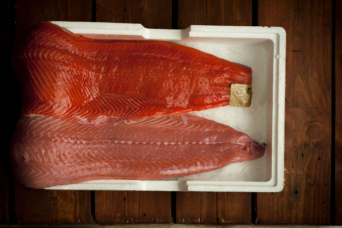 Divoký losos je sytě červený.