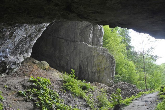 Většina zvědavců se ale odradit nedá.
