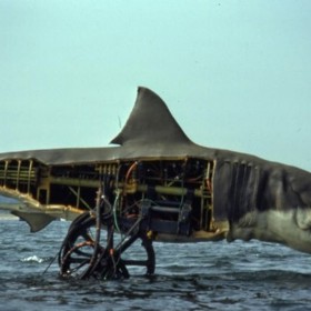 Toto léto však mnoho z nich najde smrt v hladových čelistech bílého žraloka. 