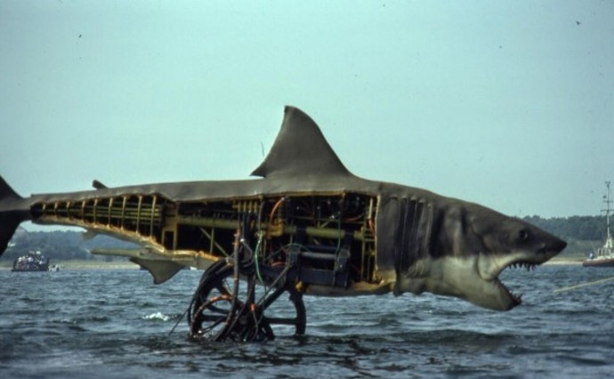 Toto léto však mnoho z nich najde smrt v hladových čelistech bílého žraloka. 