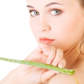 Hojivý gel:

Budete potřebovat: 1 velký tlustý list aloe vera, 50 ml kokosového oleje.

Postup: List odřízněte úplně u stonku a podélně jej nařízněte. Mezi slupkou a gelem je nepotřebná dužina, po rozříznutí tedy nechte list vyschnout. Pak lžičkou naberte jen gel bez dužiny a smíchejte jej s kokosovým olejem. Lépe se vám bude pracovat, pokud bude kokosový olej v kapalném skupenství (od teploty 24 °C).